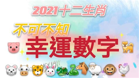 鼠的幸運色|五行命理！12生肖的幸運數字和顏色